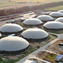Biogas Plant