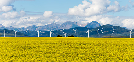 Wind farm